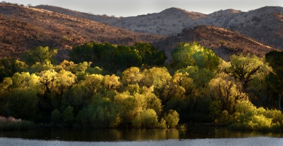 10cab - PATAGONIA LAKE STATE PARK, east end (3-19-2017) -03 watercolor