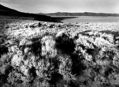 008 - CAMPSITE AT MEDICINE BOW MTS, WYOMING - BW