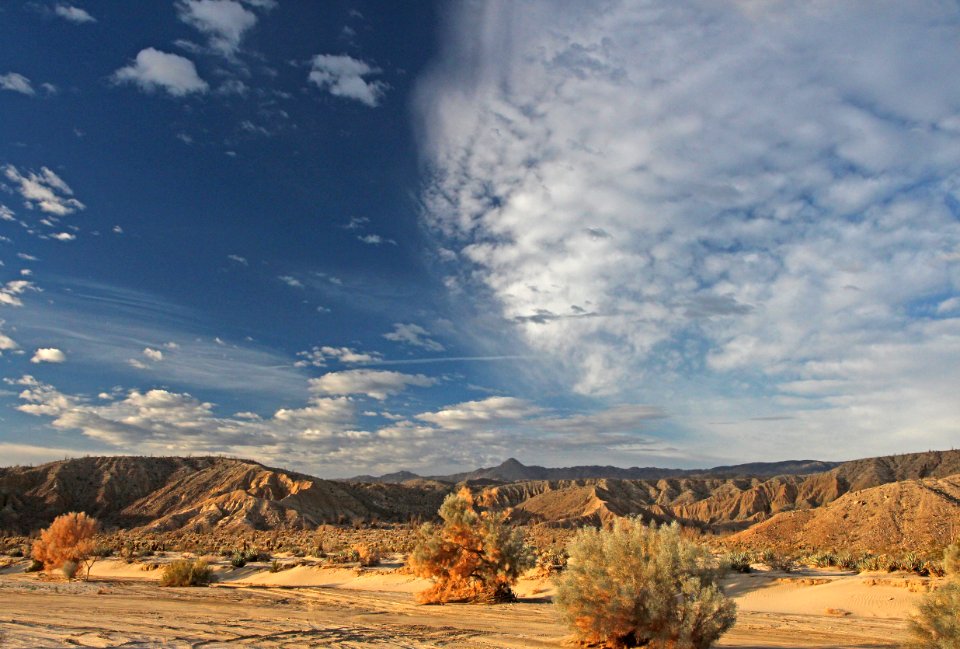 VALLACITO VALLEY CAMPSITE (1-6-2017) anza-borrego state park, san diego co, ca -4a