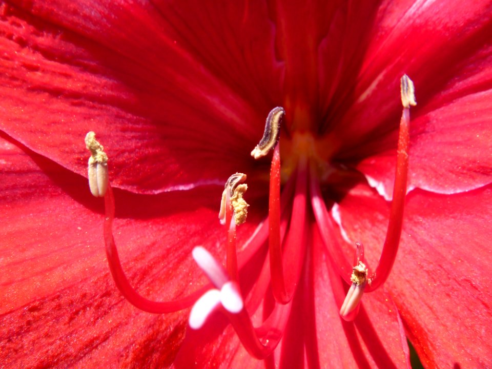 P1120917