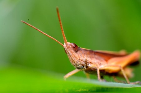 DSC5431