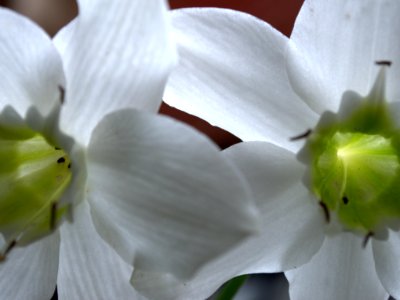 DSC 0997