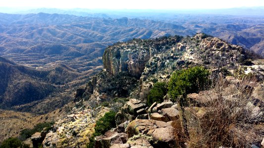 ATASCOSA PEAK (1-2-2016) CBC assignment, santa cruz co, az (6)