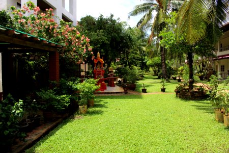 Patong Palace