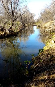 10o - PATAGONIA LAKE STATE PARK, west end (12-30-2015) -05 below sonoita creek trail crossing