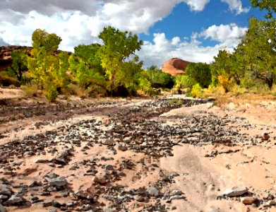 HANKSVILLE AREA, GARFIELD CO, UTAH - 2016-10-02 - Poison Springs Canyon -03e