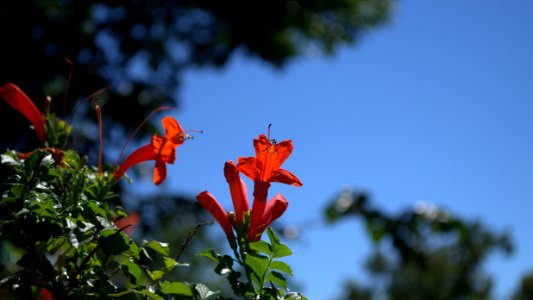 DSC 4212.NEF