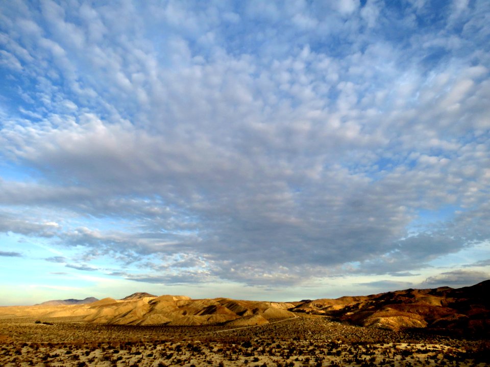 Campsite Off Bow Willow Road, south part of Anza Borrego S P, CA (3-12-2018) -09