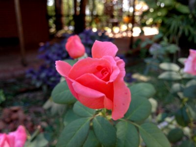 2012-03-28-1365