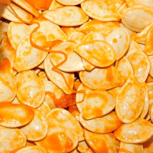 Autumn seeds orange photo