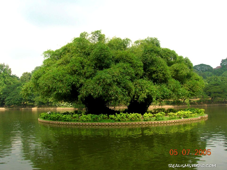 DSCN0433
