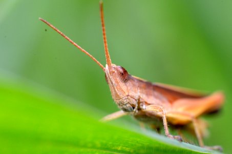  DSC5429