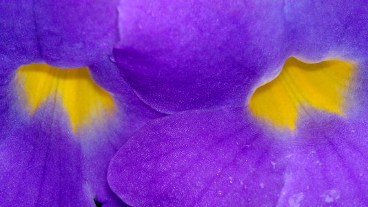 2012-04-21-1884