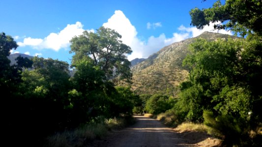 ROAD TO FLORIDA WASH, SANTA RITA MTS, AZ -03 (5-4-2015)