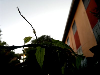 2012-04-15-1758