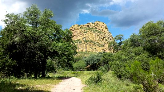 PENA BLANCA CANYON (8-9-2015) santa cruz co, ca