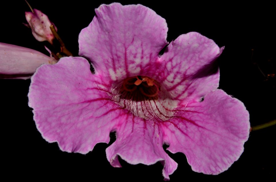 DSC 0371