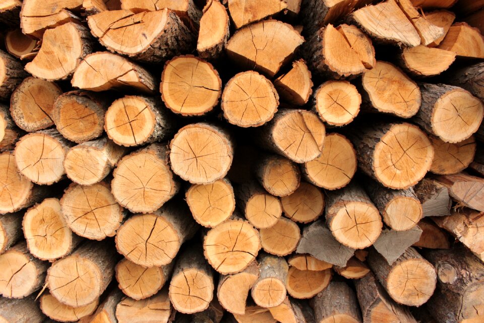 Pile of wood trunk konary