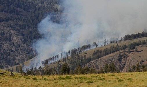 Blacktail Fire 2012