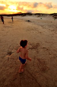 el camino del arte