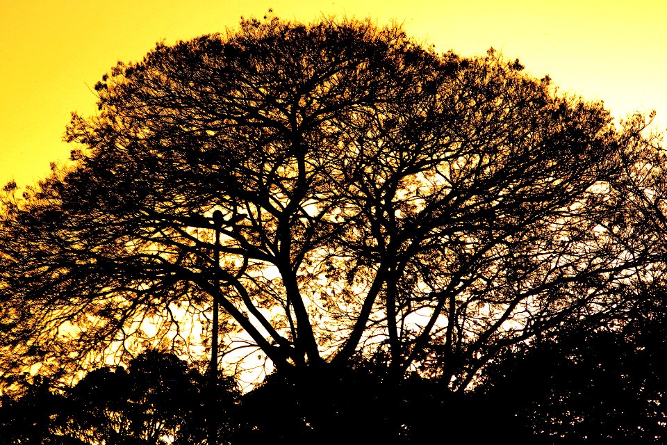 nossa-braslia---fim-de-tarde 28022080123 o