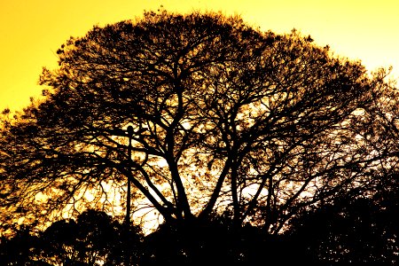 nossa-braslia---fim-de-tarde 28022080123 o