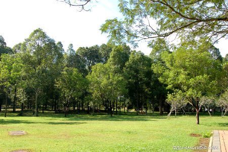 DSC 0201