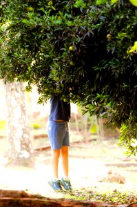 tarde de mandarina