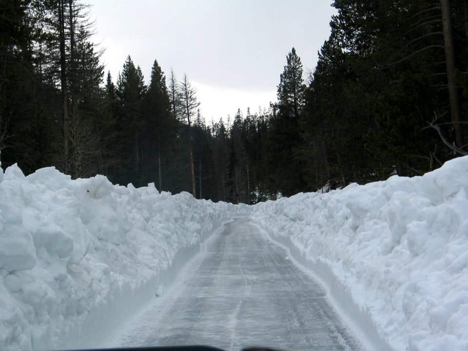 Single Cut on East Entrance (2)