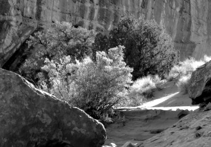UT - (10-20-2017) WHITE CANYON, Long Canyon Hike (39)