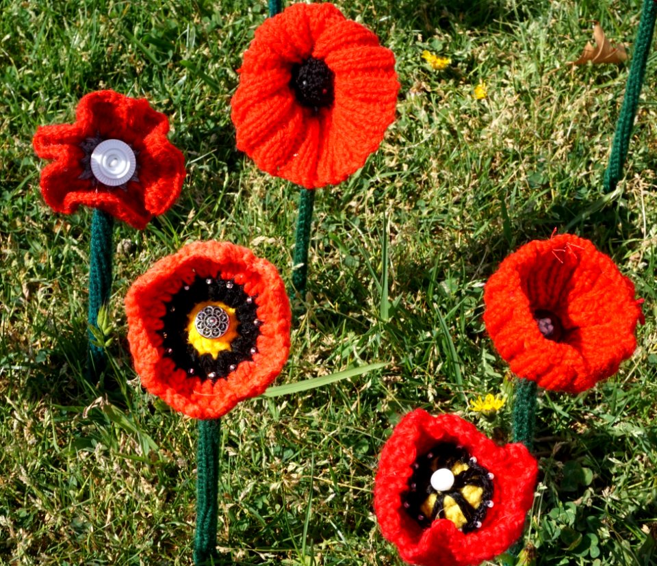 Poppies with buttons
