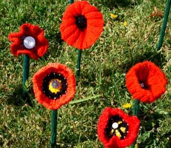 Poppies with buttons