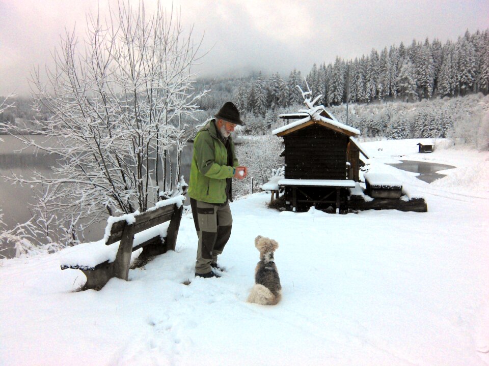 Dog wintry snow landscape