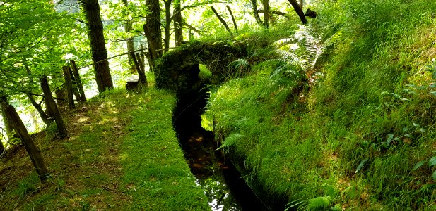 Oiartzun ur jauzia - Cascada Oiartzun 11