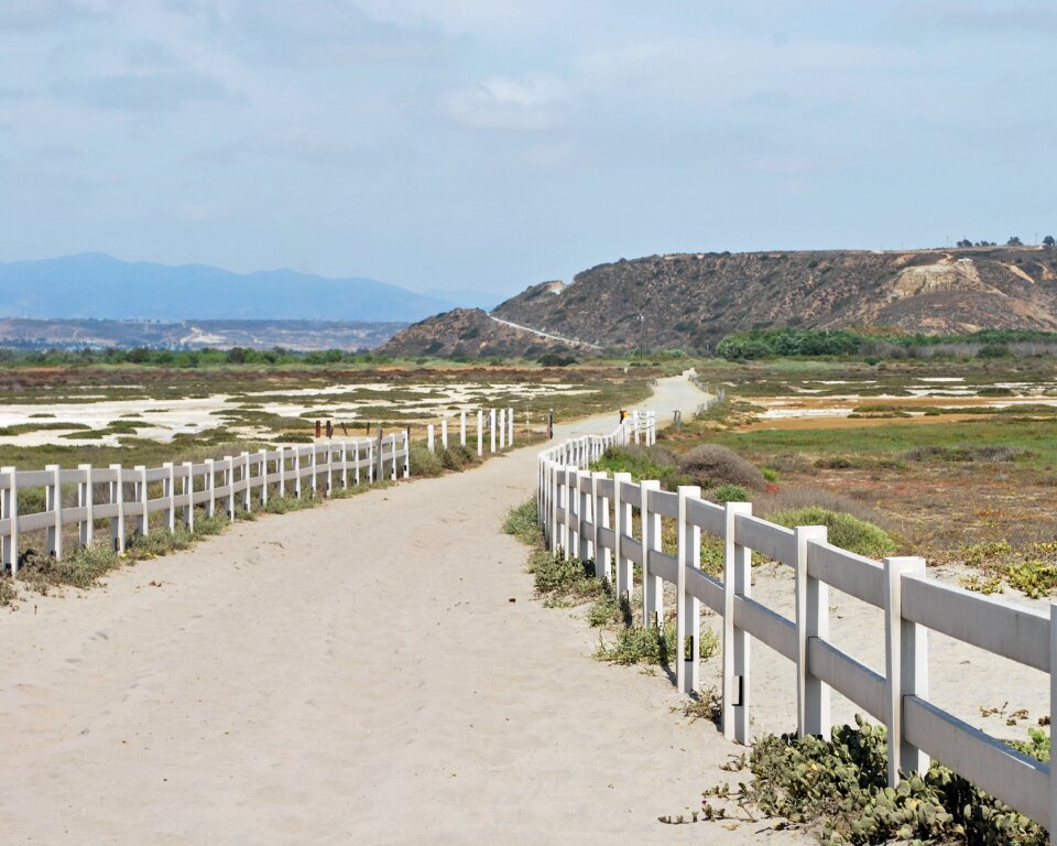 Coast sand ocean