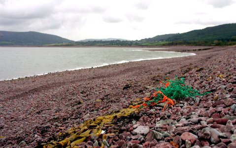 Plastic debris on the coastline near Porlock