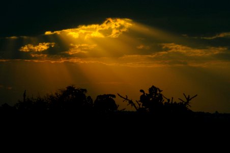 nossa-braslia---fim-de-tarde 20900293672 o