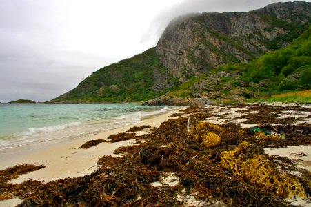 Marine litter. Lost fishing nets - there is one on every beach.