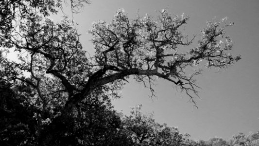 PATAGONIA MTS (3-31-14) -01 bw