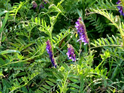 P1290926
