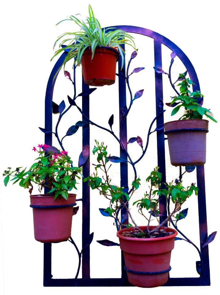 Stock Planter 01