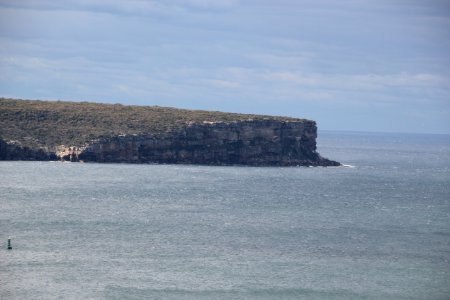 Taronga-Middle-Head-060716-051