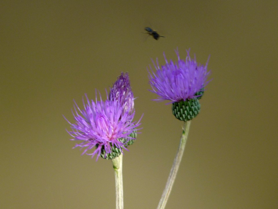 P1260372