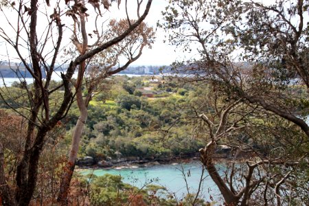 Taronga-Middle-Head-060716-054
