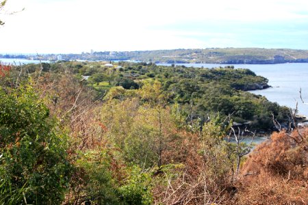 Taronga-Middle-Head-060716-063