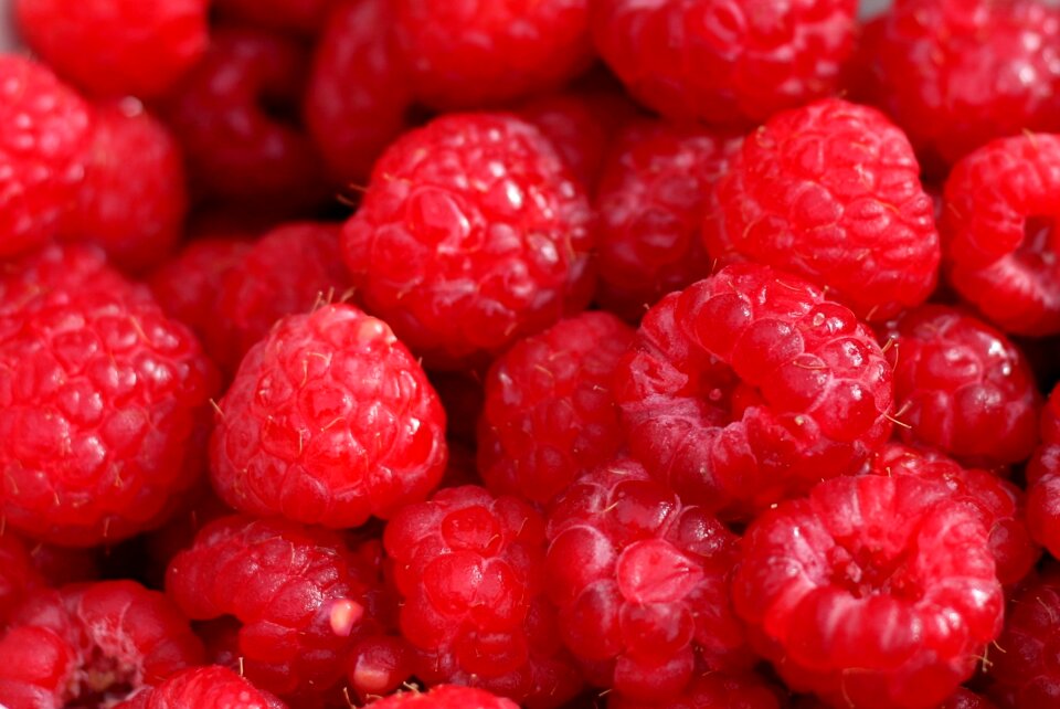 Food healthy red food