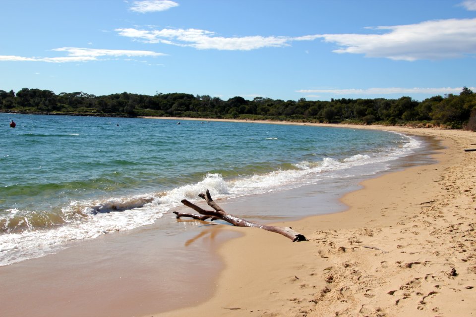 Bundeena-100816 21