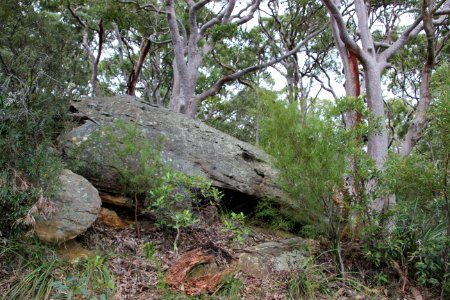Taronga-Middle-Head-060716-006
