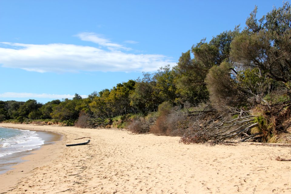 Bundeena-100816 22