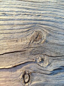 Wood grain pattern photo